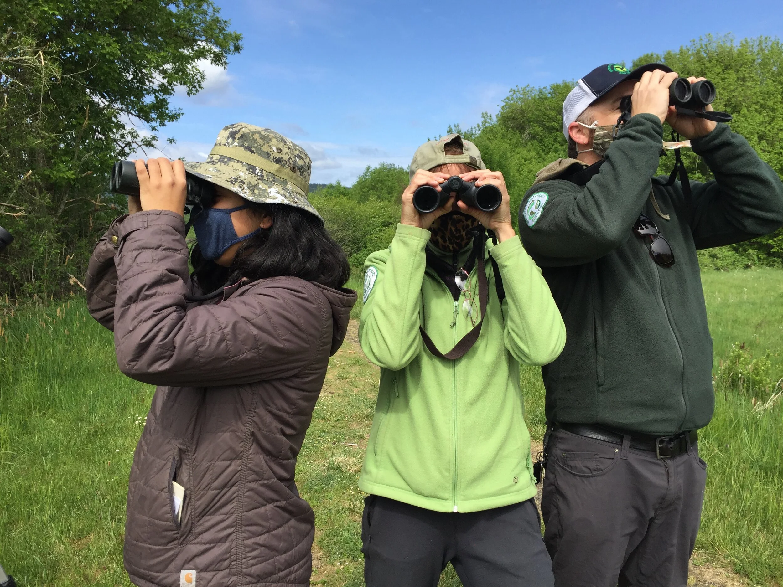 Observación de aves en el Refugio Nacional de William L. Finley, Corvallis, Oregon.
