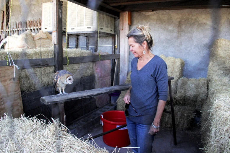 Cleo and April_barn owl rescue.jpg