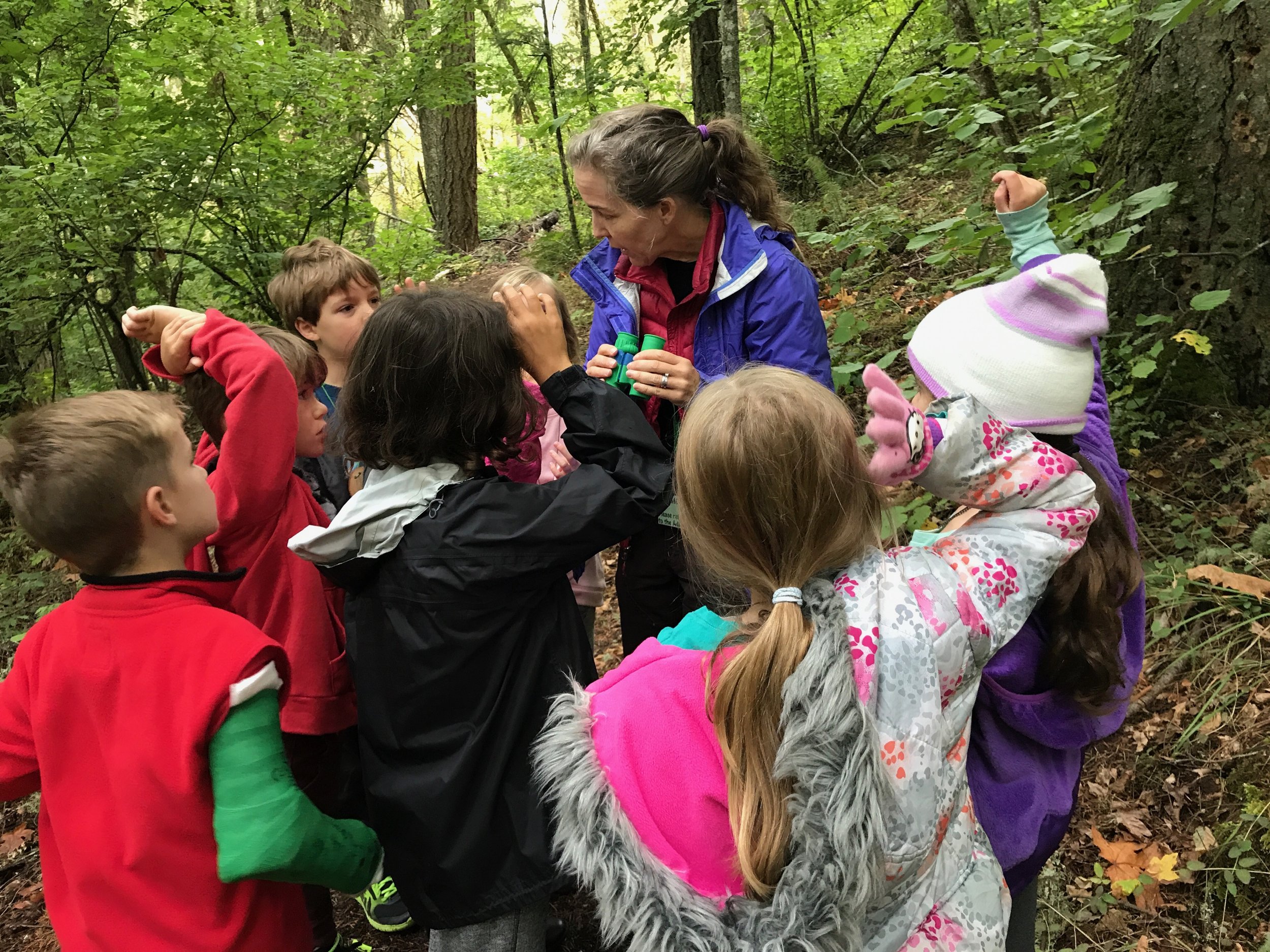 Why Our Partners Think the Twinning Project Is Special