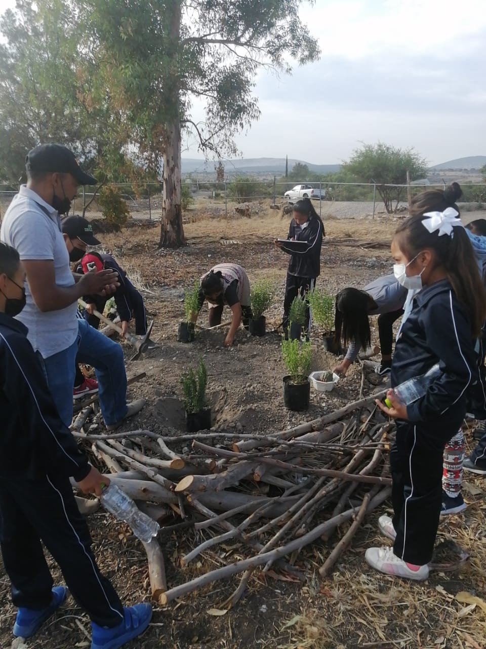 polinator garden.jpg