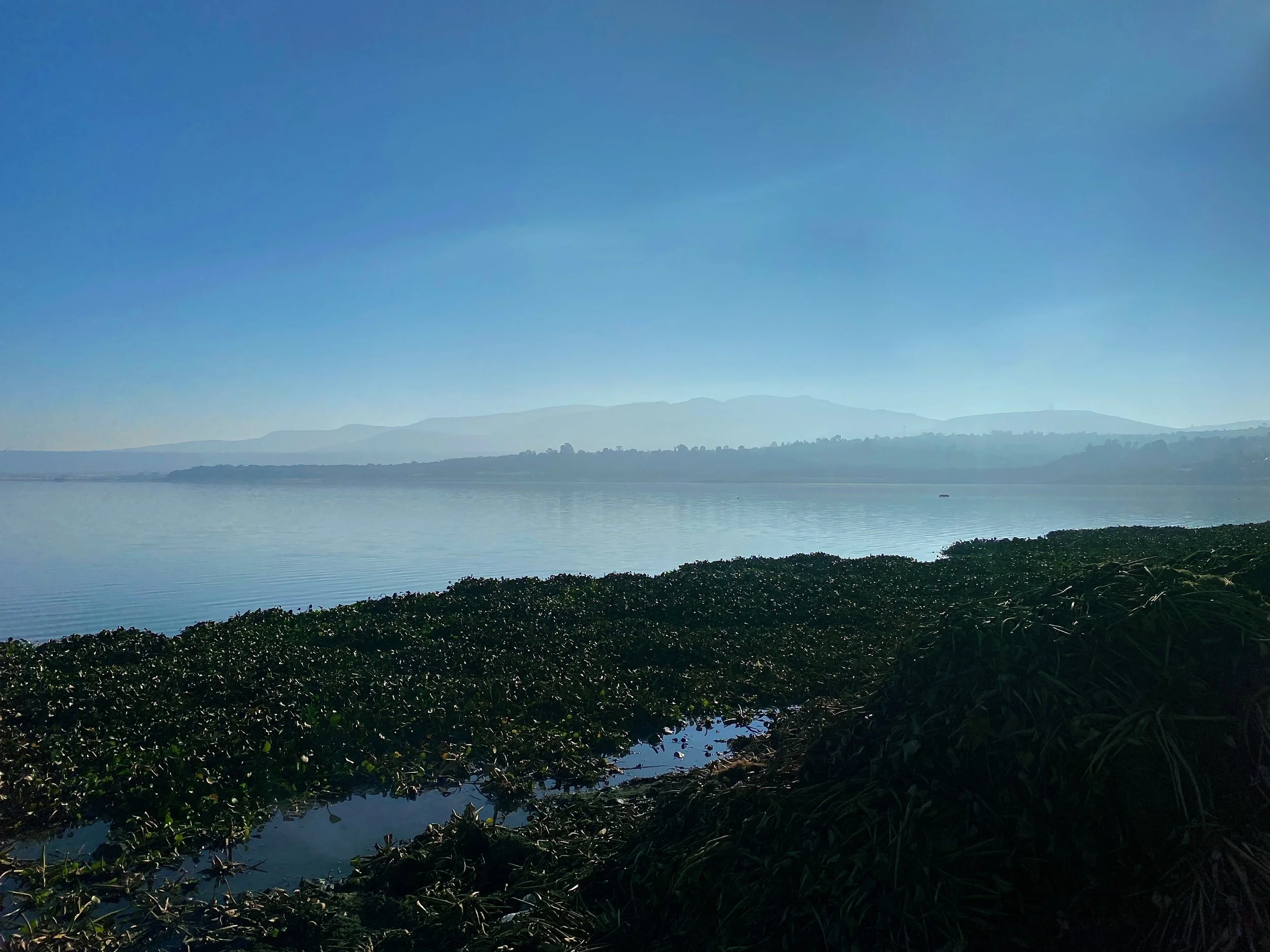 Bridging the Partnership - January 2023 Trip to the Laja 