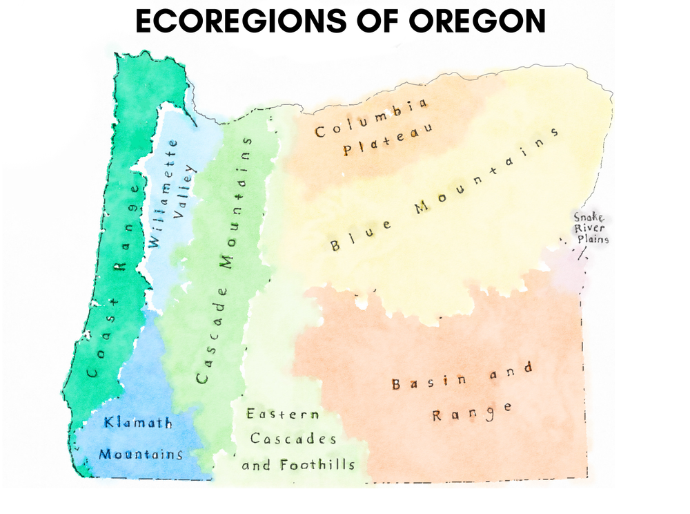 ECOREGIONS IN OREGON.png