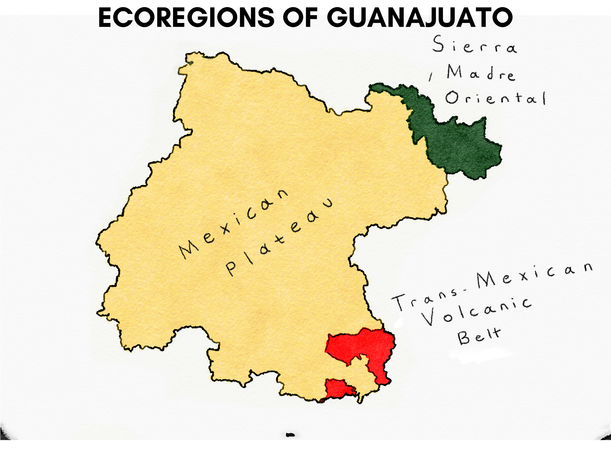 ECOREGIONS OF GUANAJUATO.png