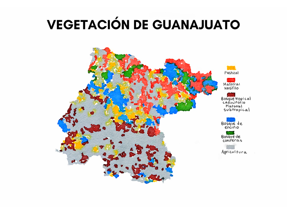 vegetación de guanajuato.png