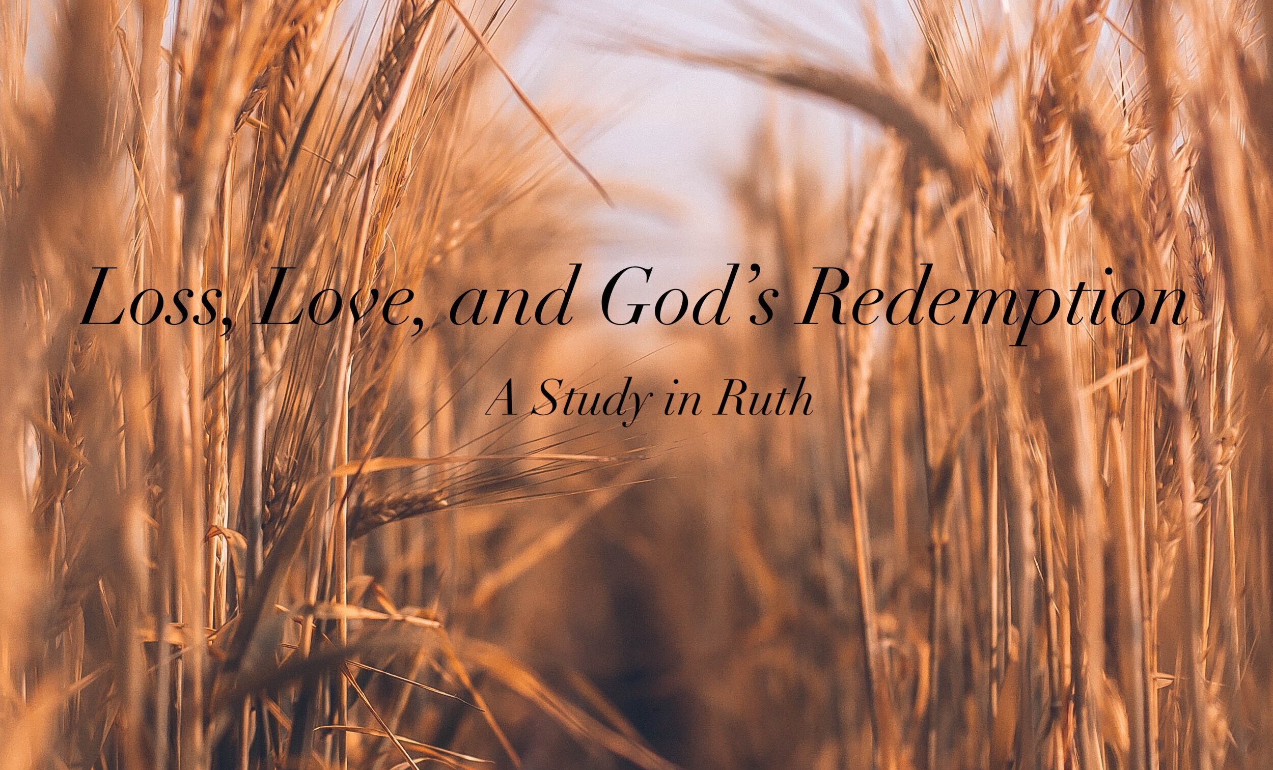 Ruth 2:1-23