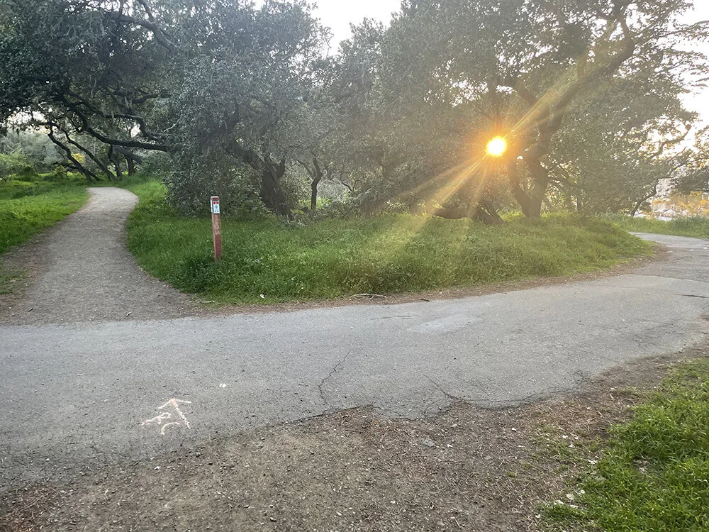 Continue on the path to the left!