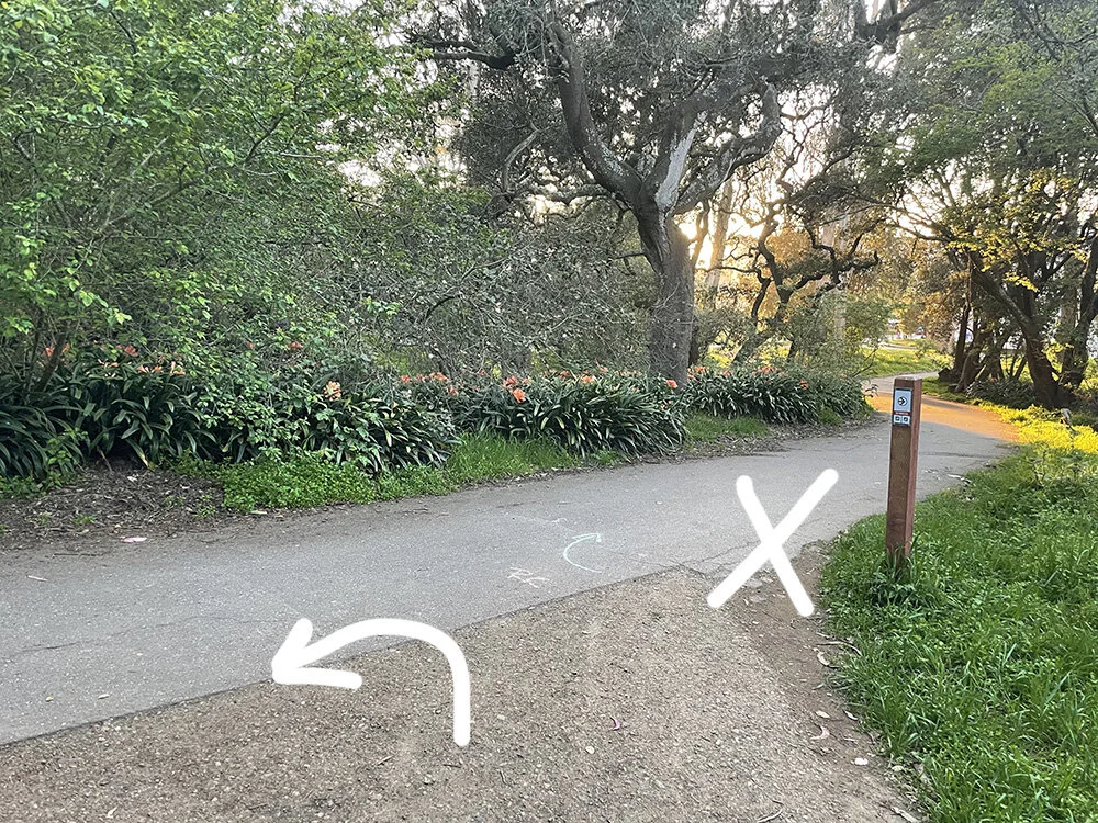When you get to the “end” go left! Right is towards the skaters