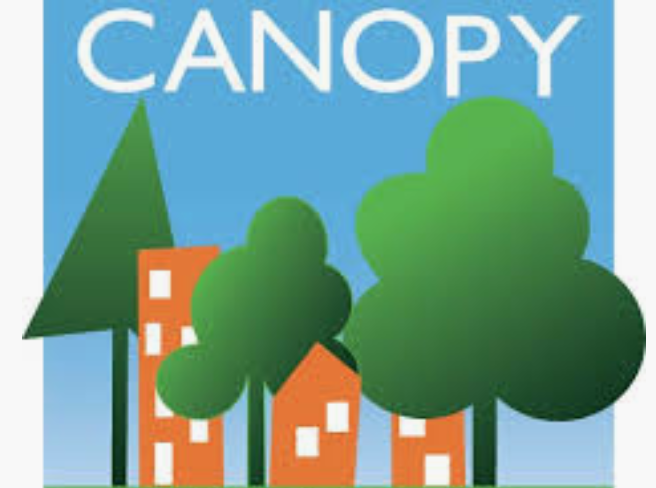 Canopy.png