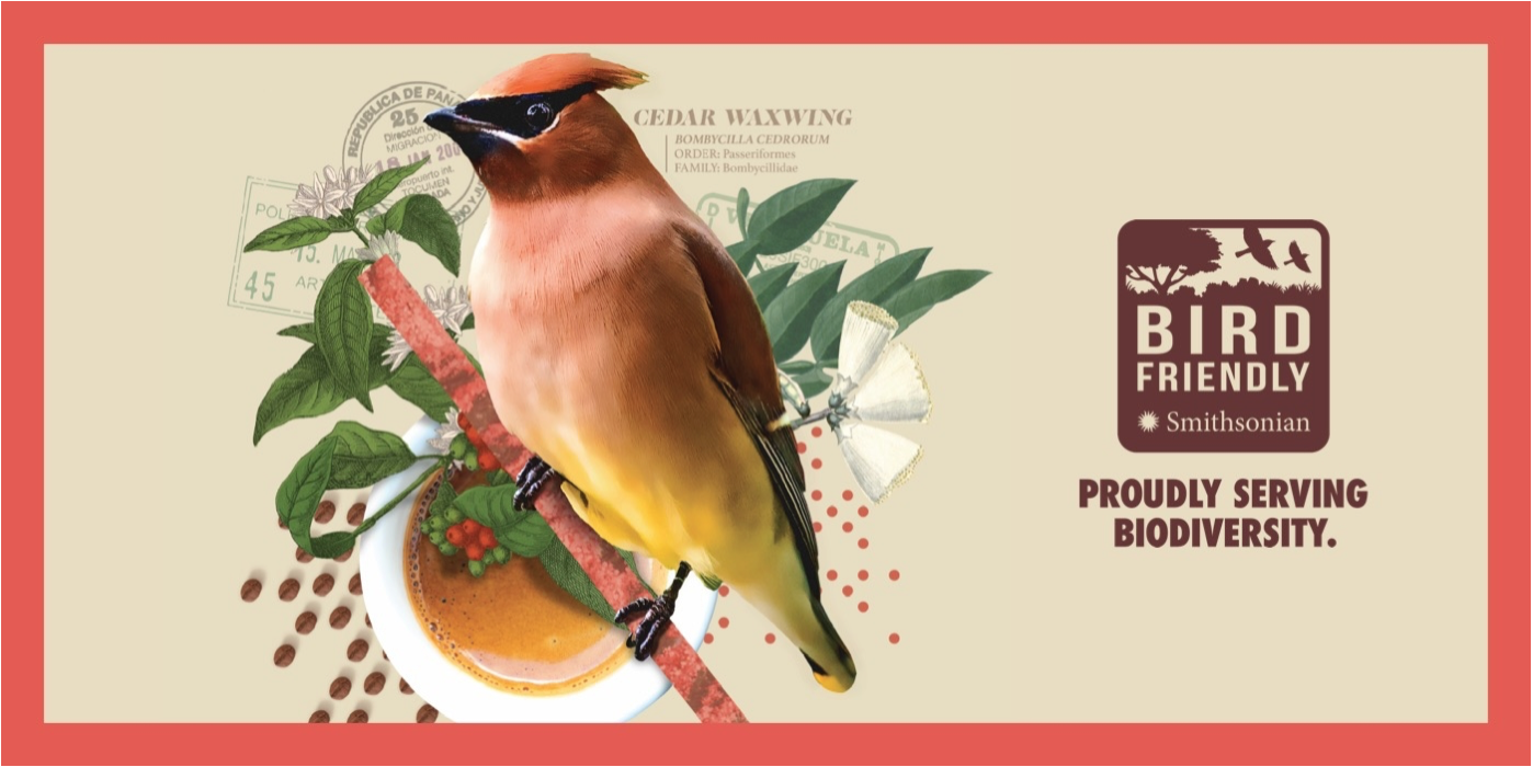  Click for a list of bird-friendly coffee farms 