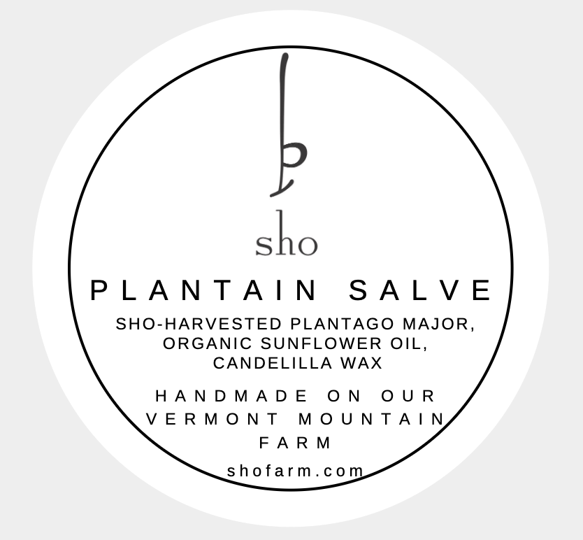 Screenshot 2025-12-18 at 11.16.45 AM.png