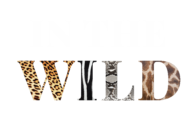 in-the-WILD.gif