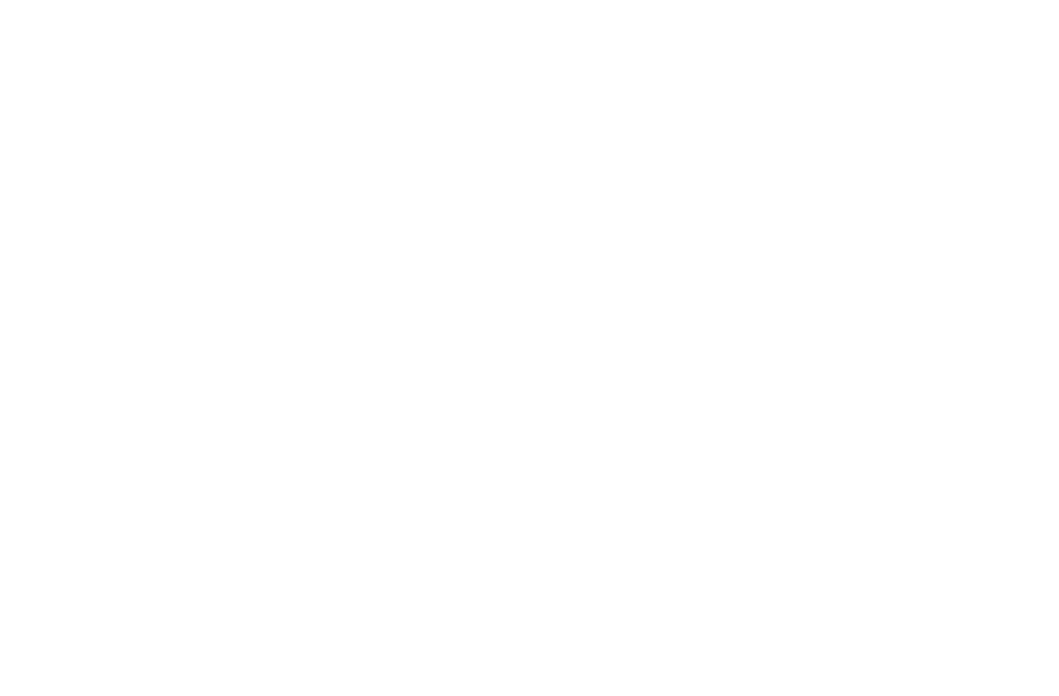 49 Capital