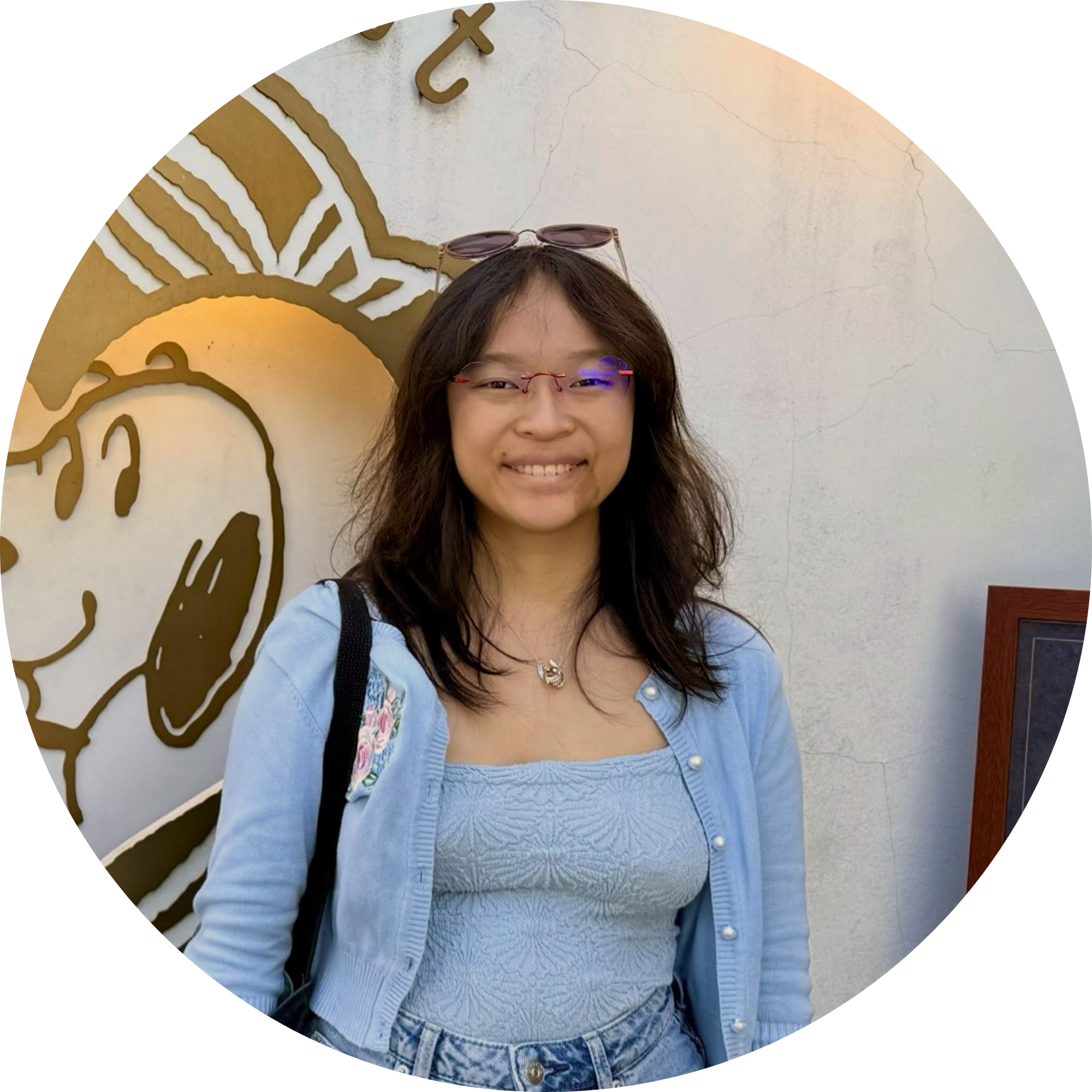 Vivian Le, Installer