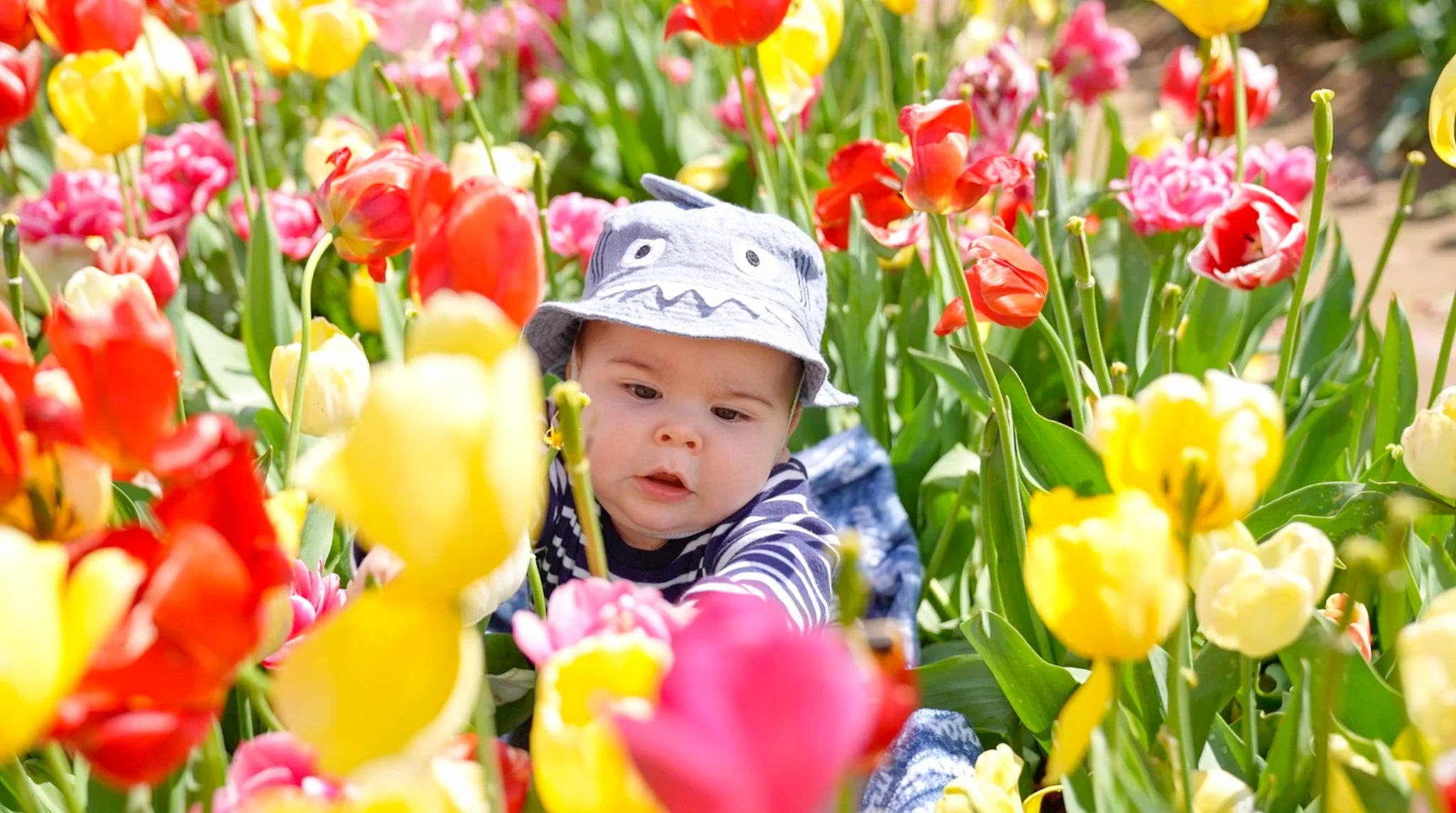 Joanna Leigh Photography-3290.jpg