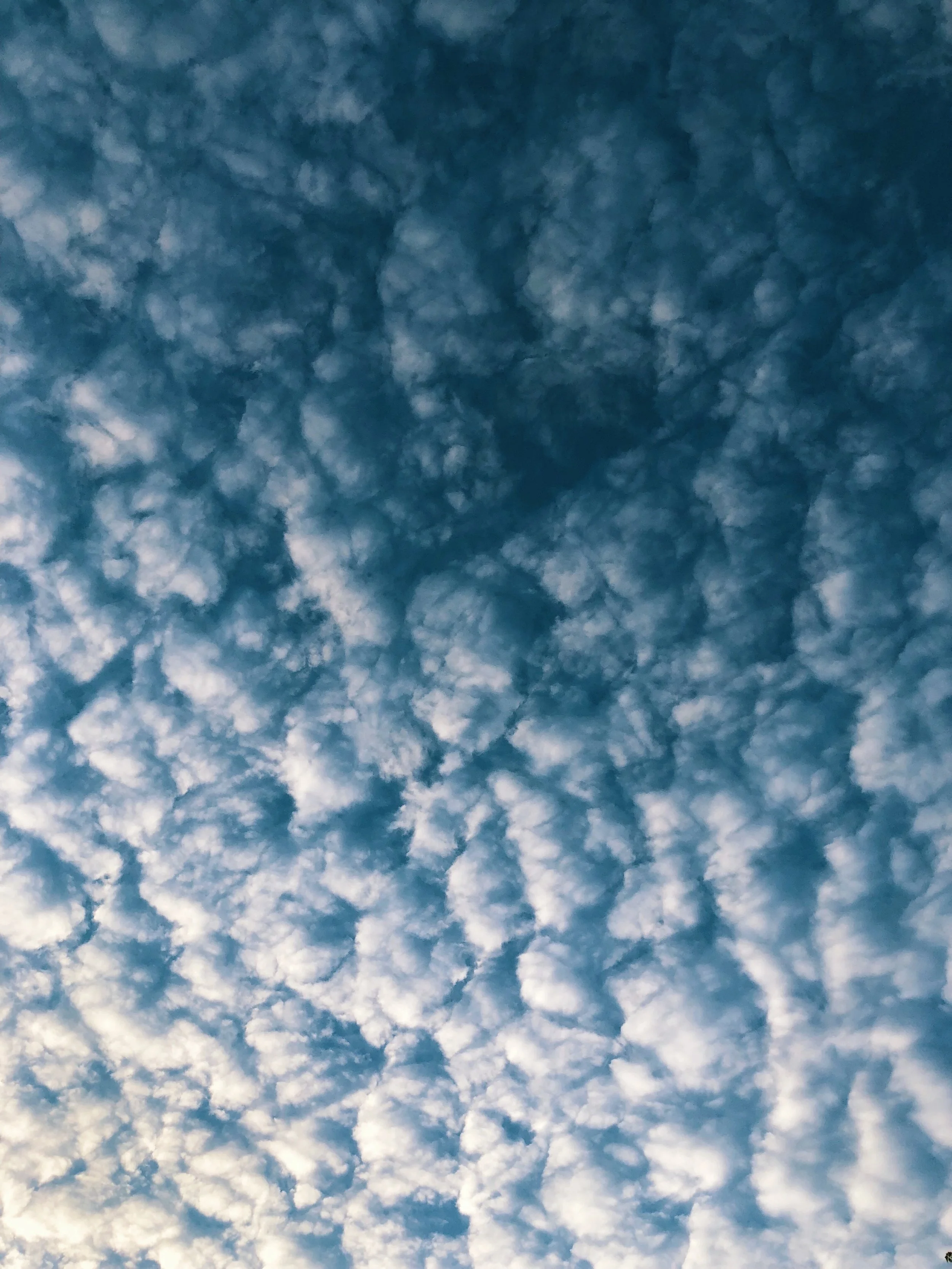 786615AC-C0DD-4D8B-B90A-F603E539C539.jpg