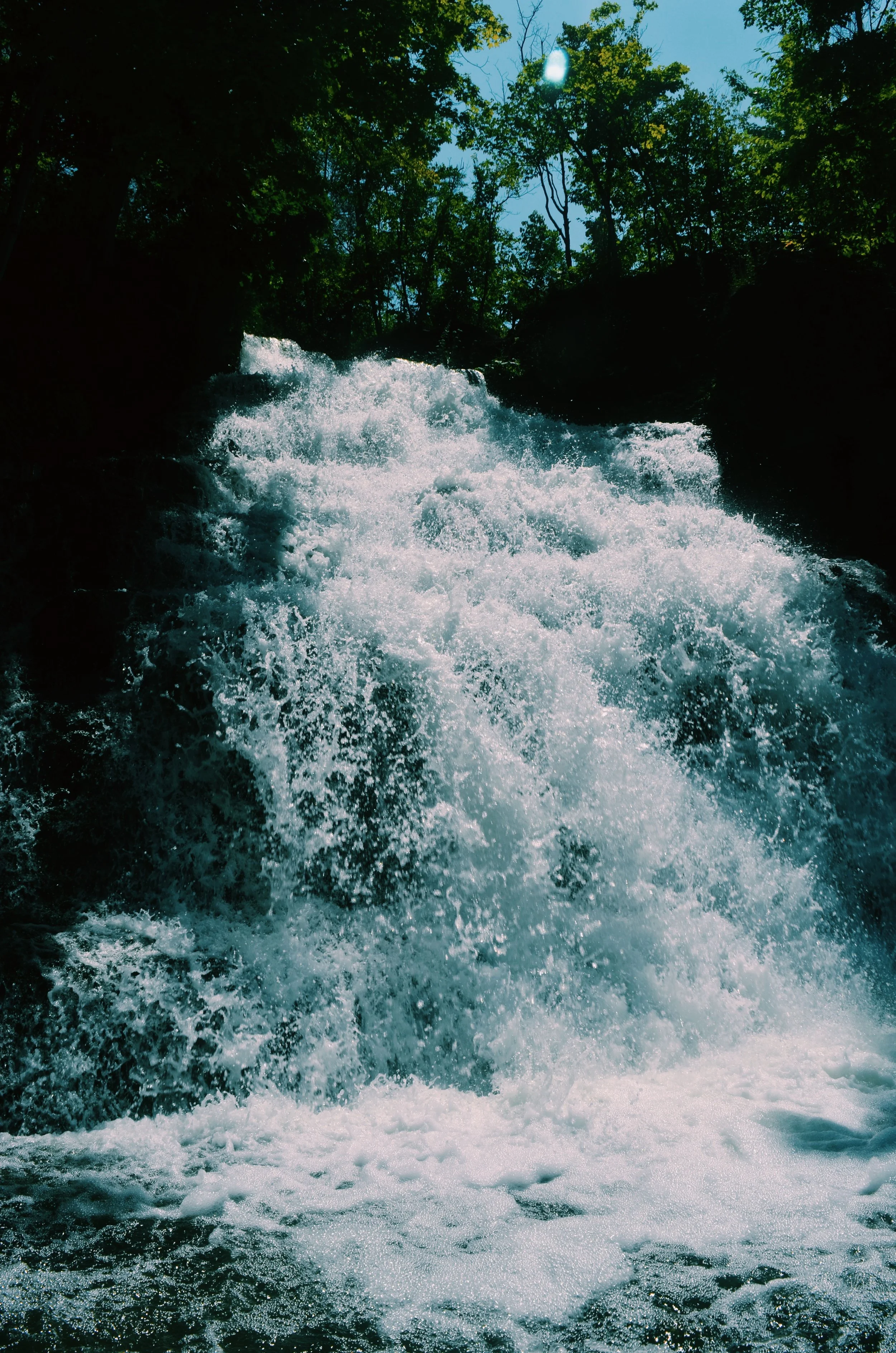 B8207459-D174-44F0-B816-13C5C731CB6F.JPG