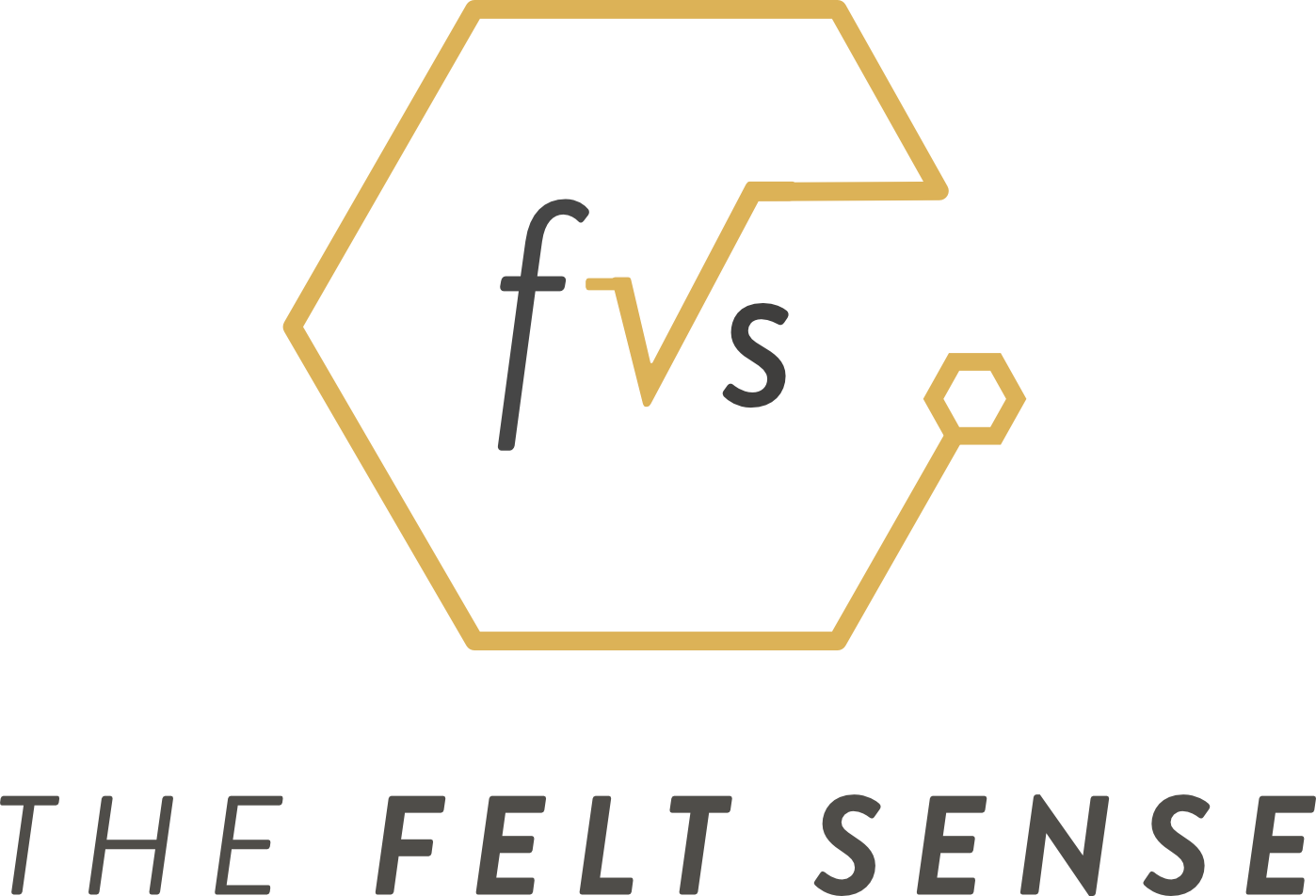 The Felt Sense