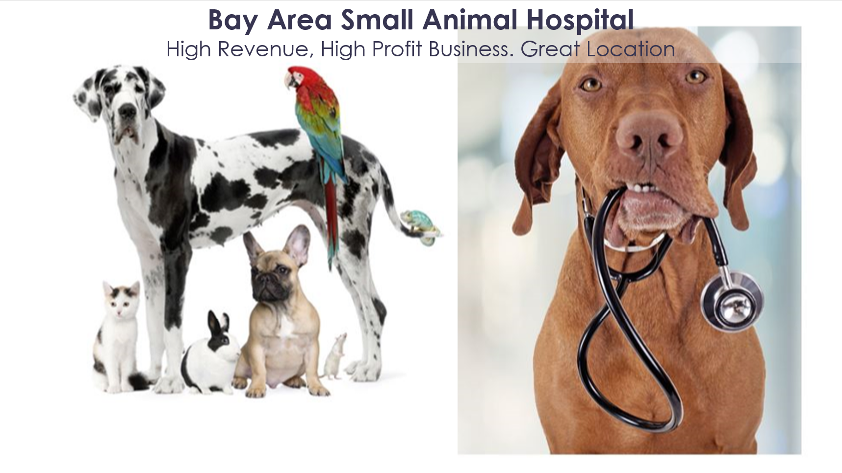 SmallAnimalHospital-BusinessSale-website.PNG