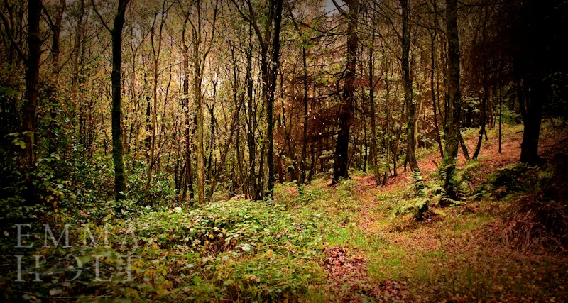 The Art of Landscape Photography. Lake District.