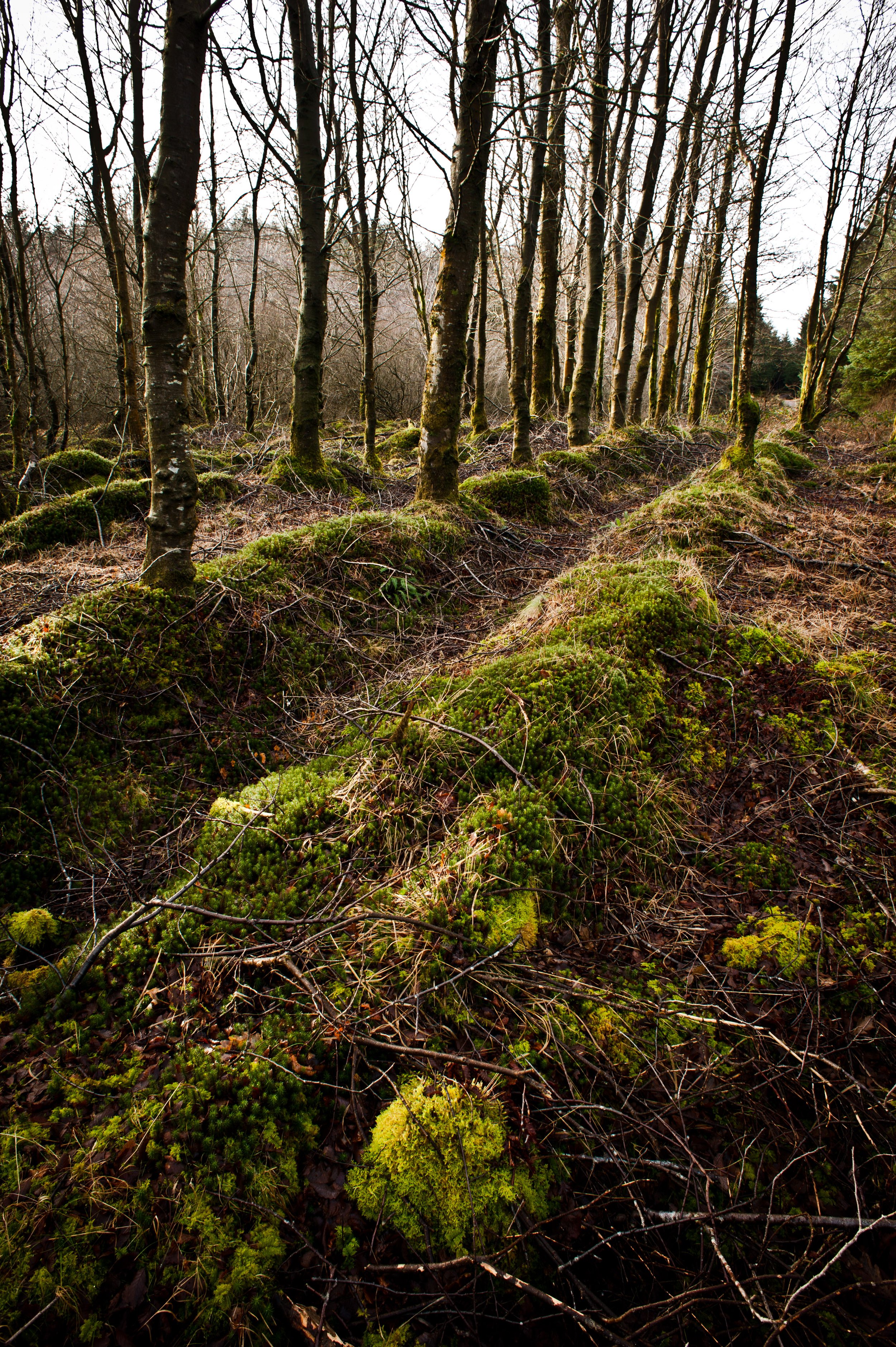 Introduction to Photography (Ladies only). Burrs Country Park. Bury.
