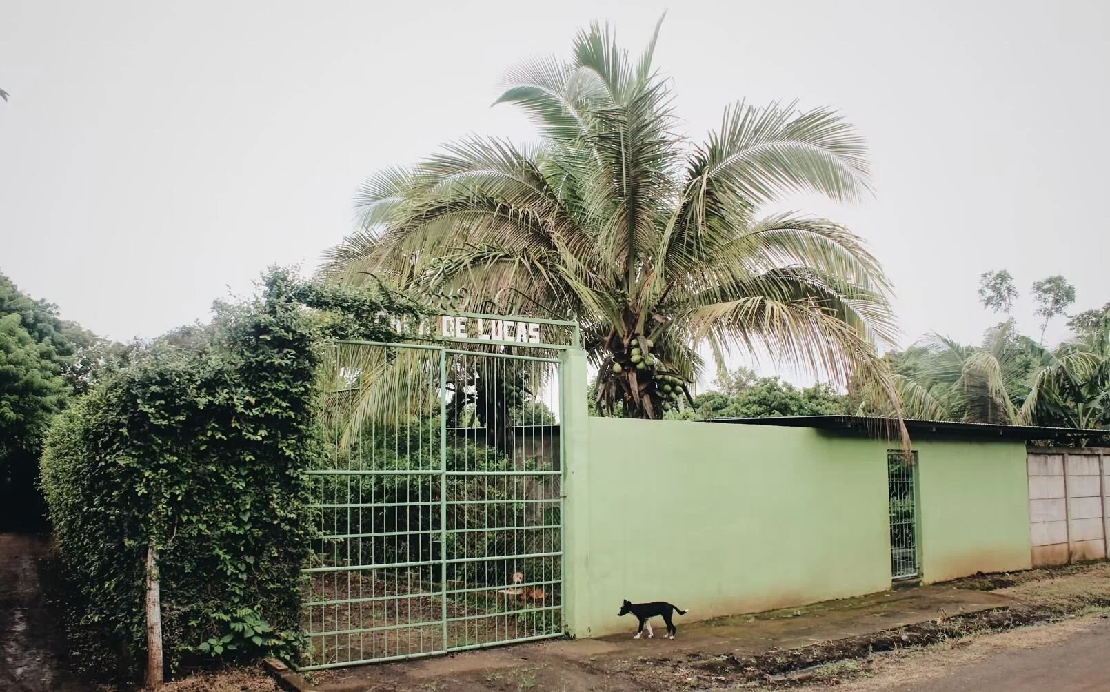 Luke's Inn - La Posada de Lucas