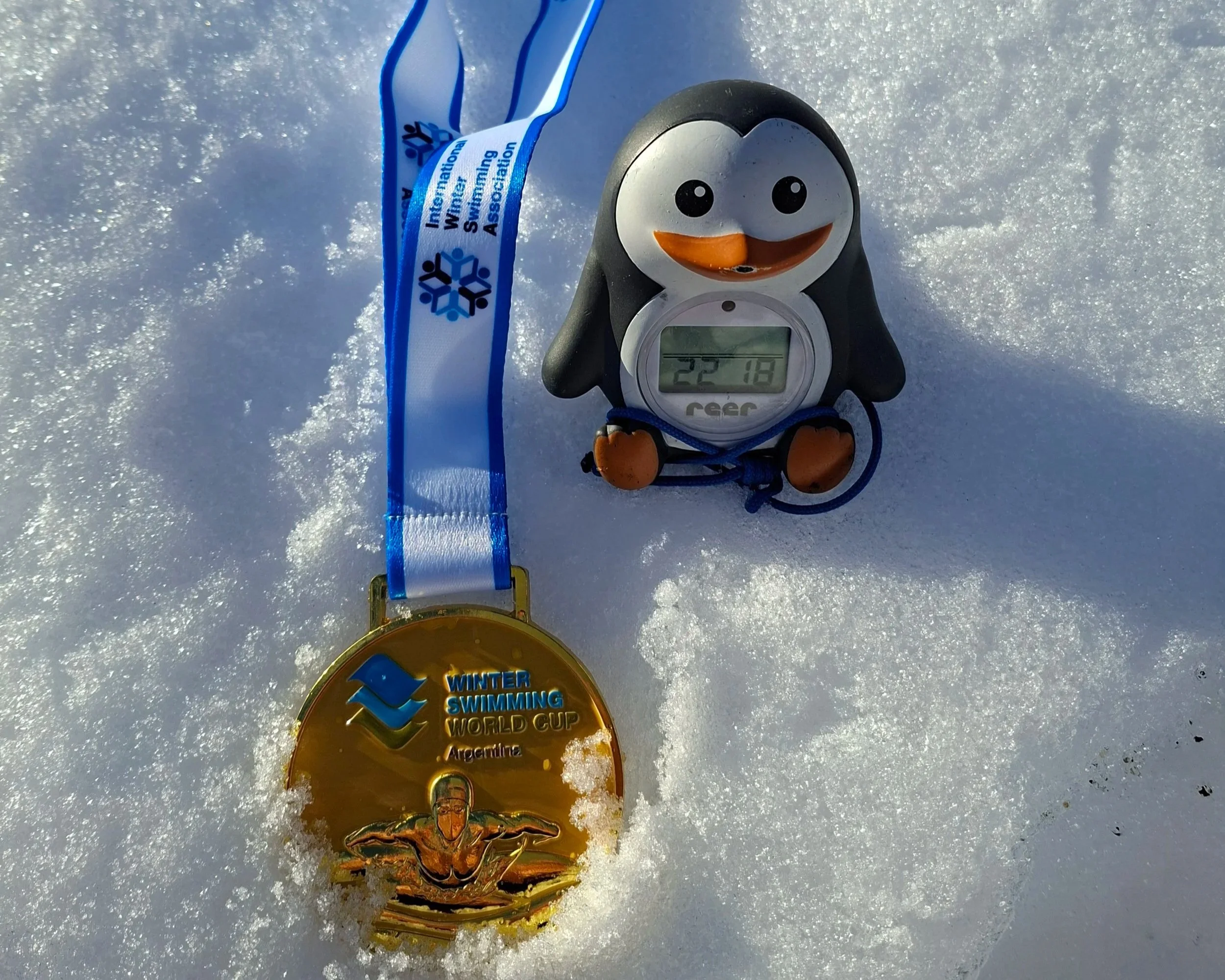 Winter Swimming World Cup France