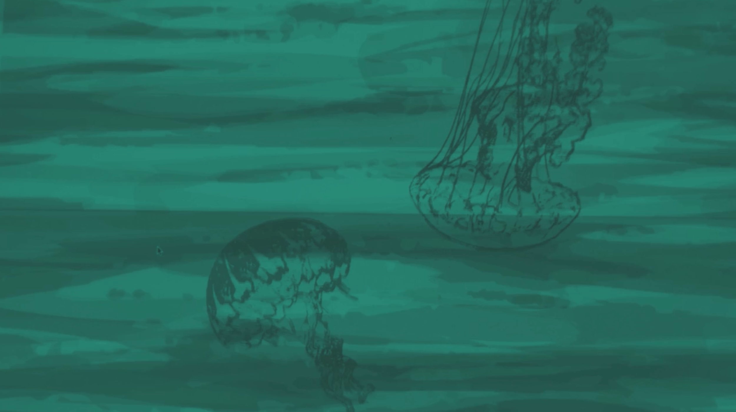 headerStill.png