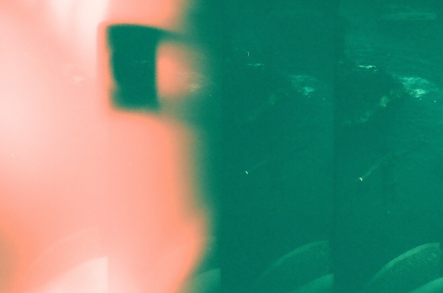 000123850023.jpg