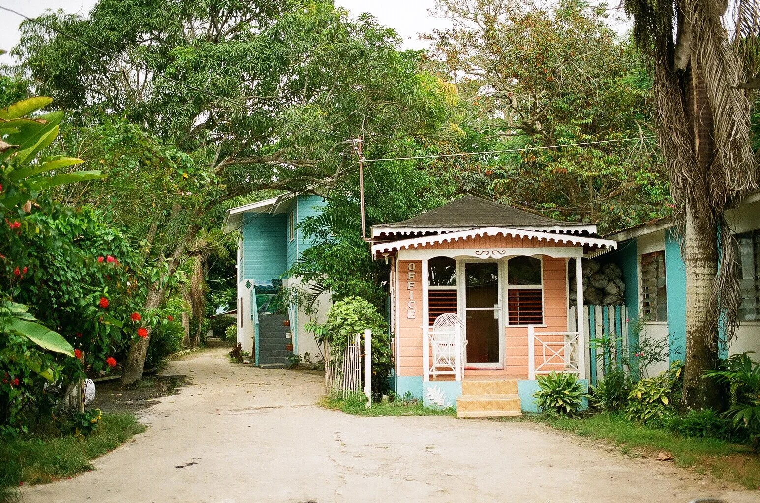 000161220030.jpg