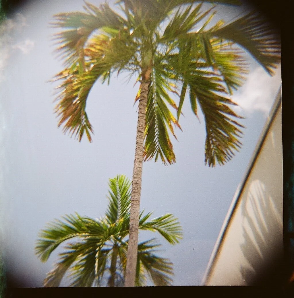 000161450007.jpg
