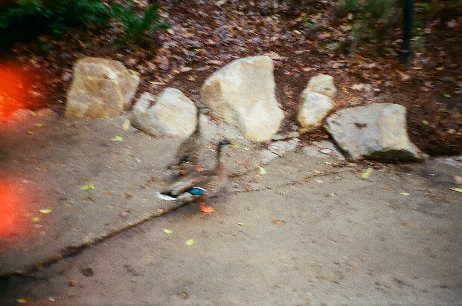 000109190027.jpg