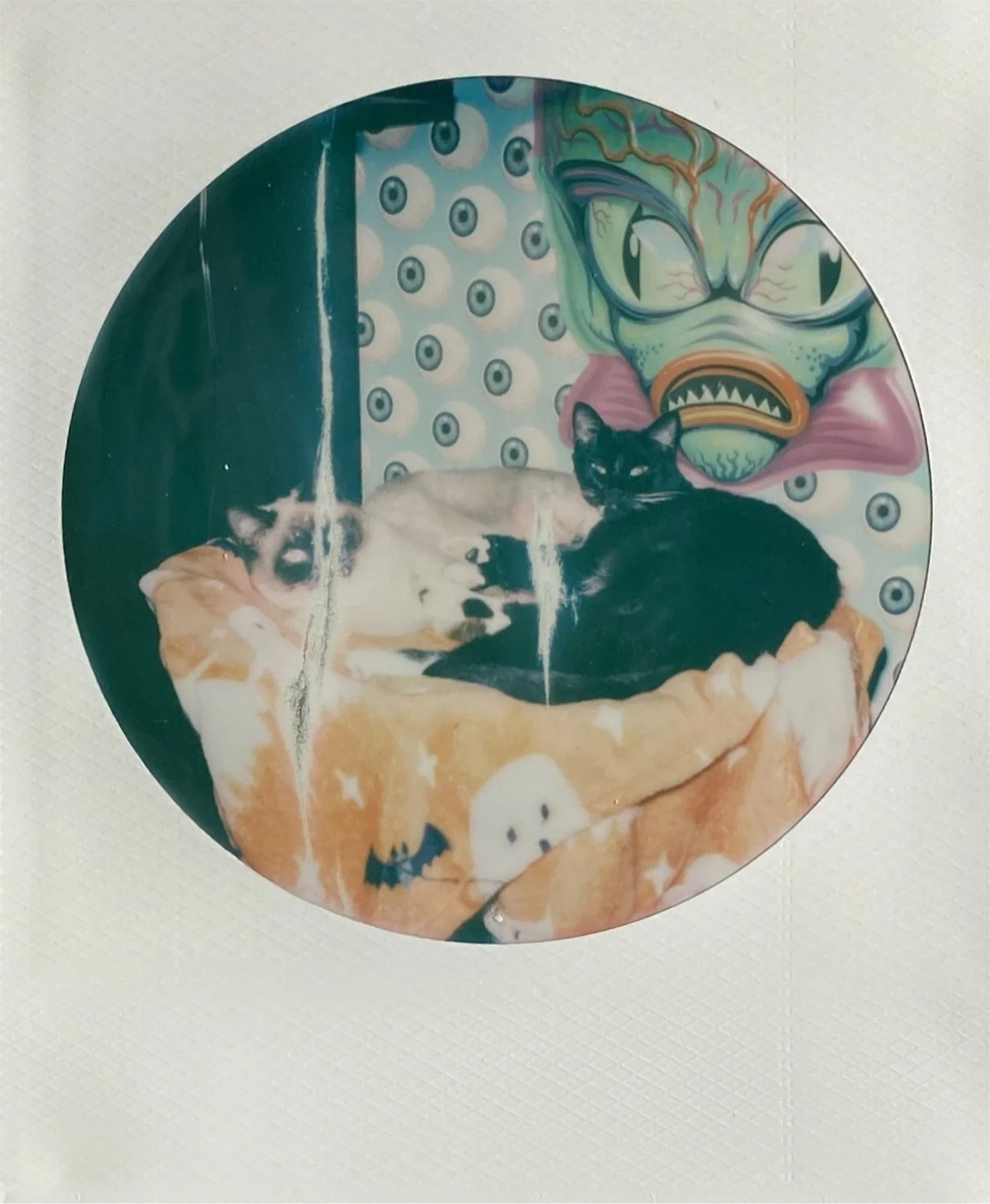 Yin and Yang ☯️ Who would you guess is the naughty one? Eggnog or Bart? #sisters

Captured on converted SX-70 for 600 film