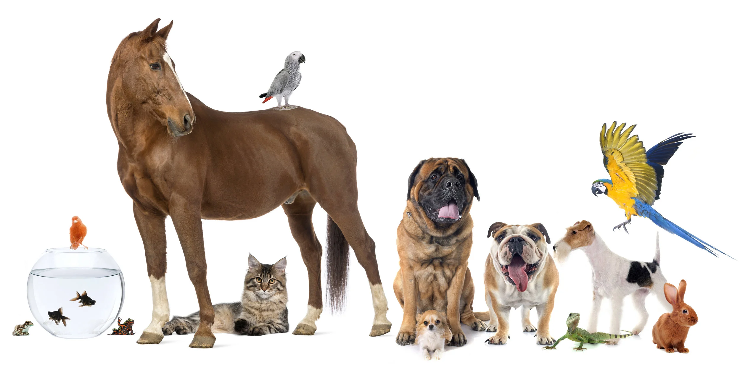iStock-921859036-edit.jpg