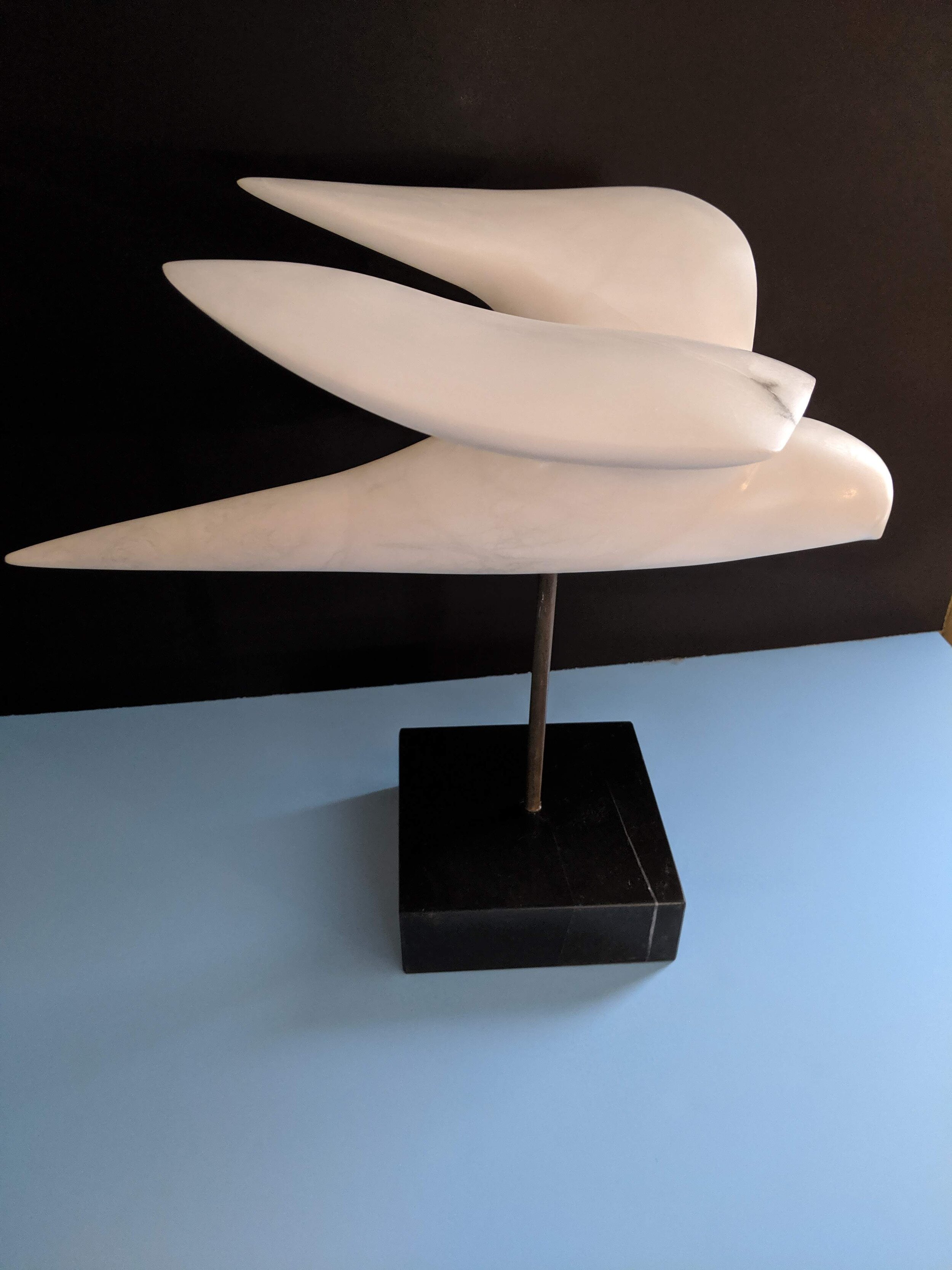 MVIMG_20190914_162413.jpg