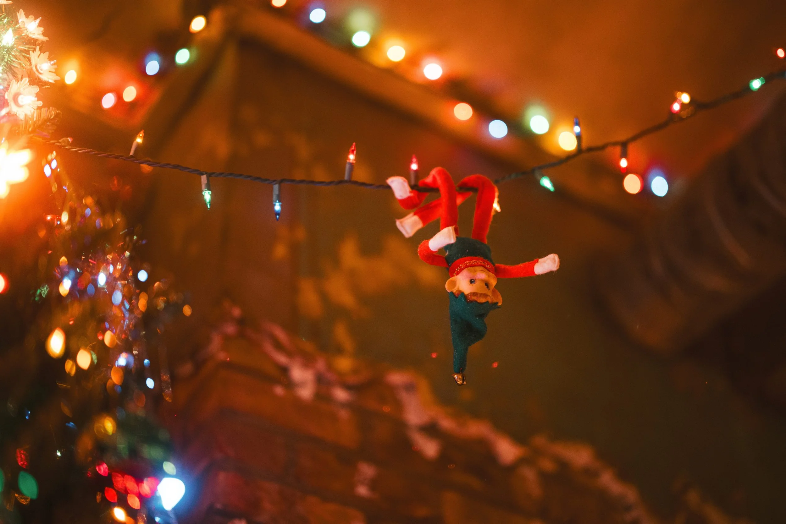 CP Miracle Space Small 3.jpeg