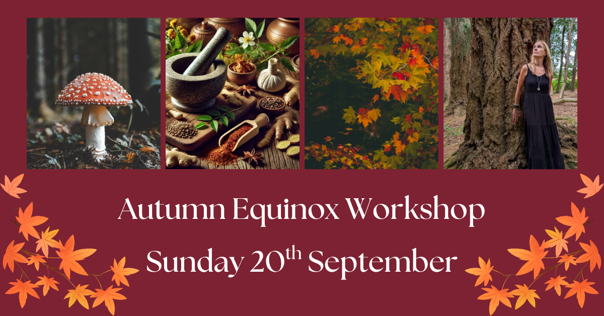 Autumn Equinox Workshop.png