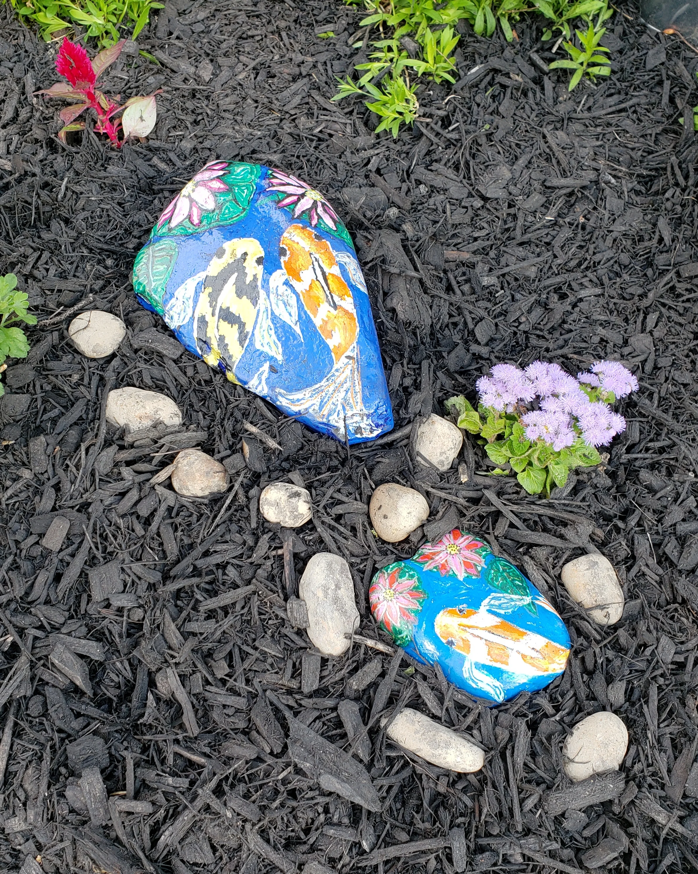 20190519_161946.jpg