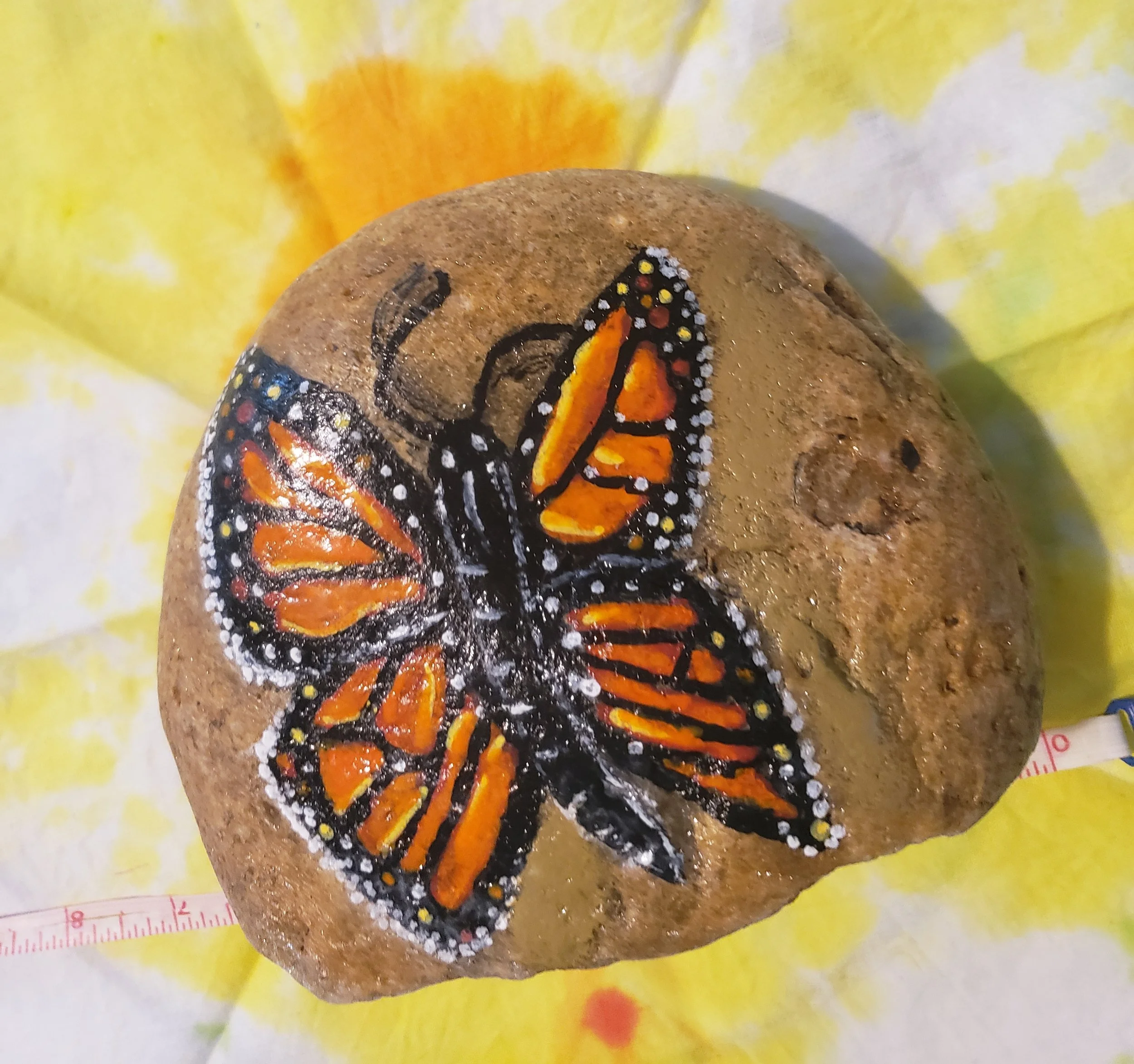 Monarch  6"x5"x3"  5lbs.