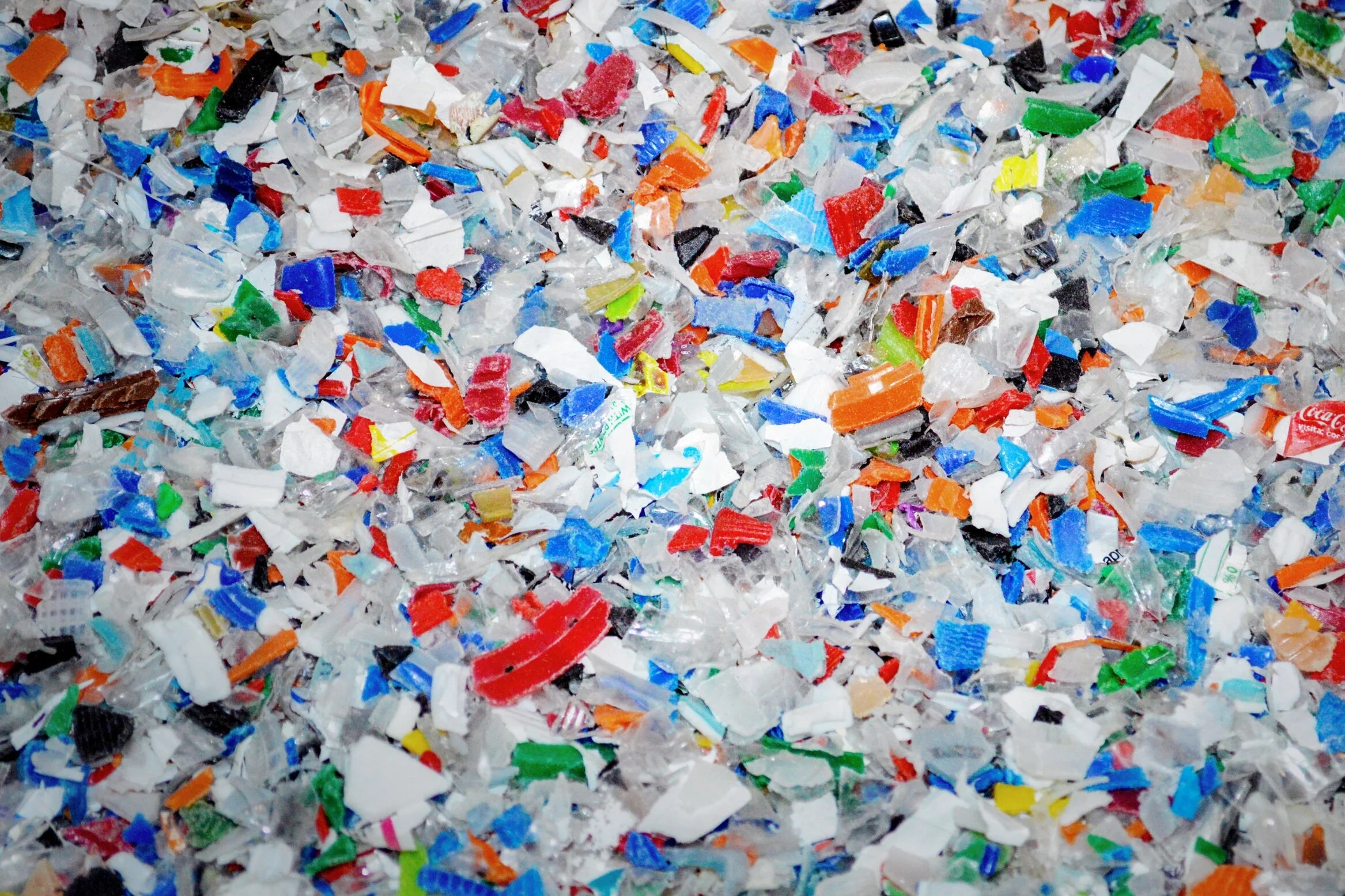 Shreds.jpg