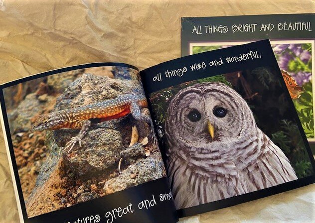 Product 18 - All Things Bright & Beautiful Photo Book