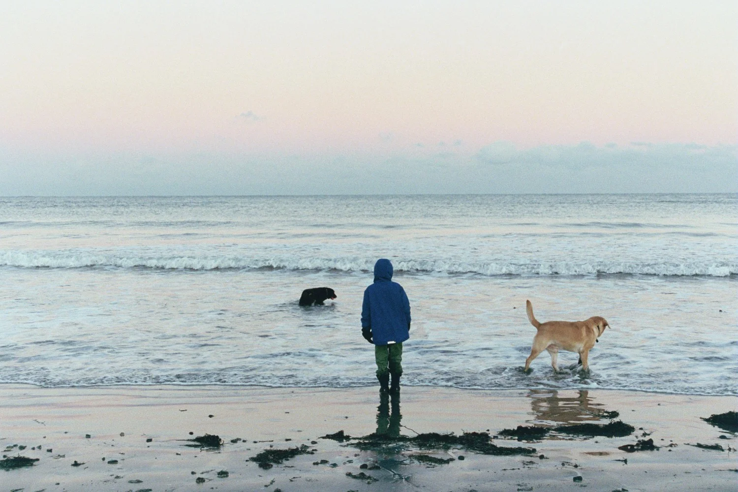 Kittery Point - boy in blue