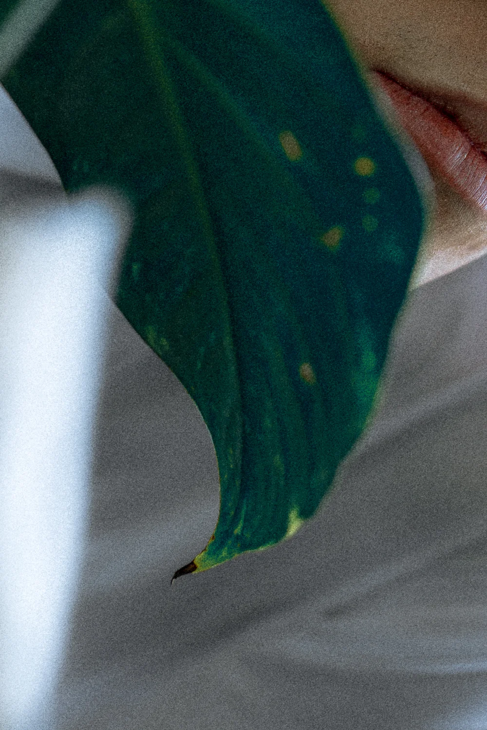 CANDID_SANNEGLASBERGEN 02.jpg