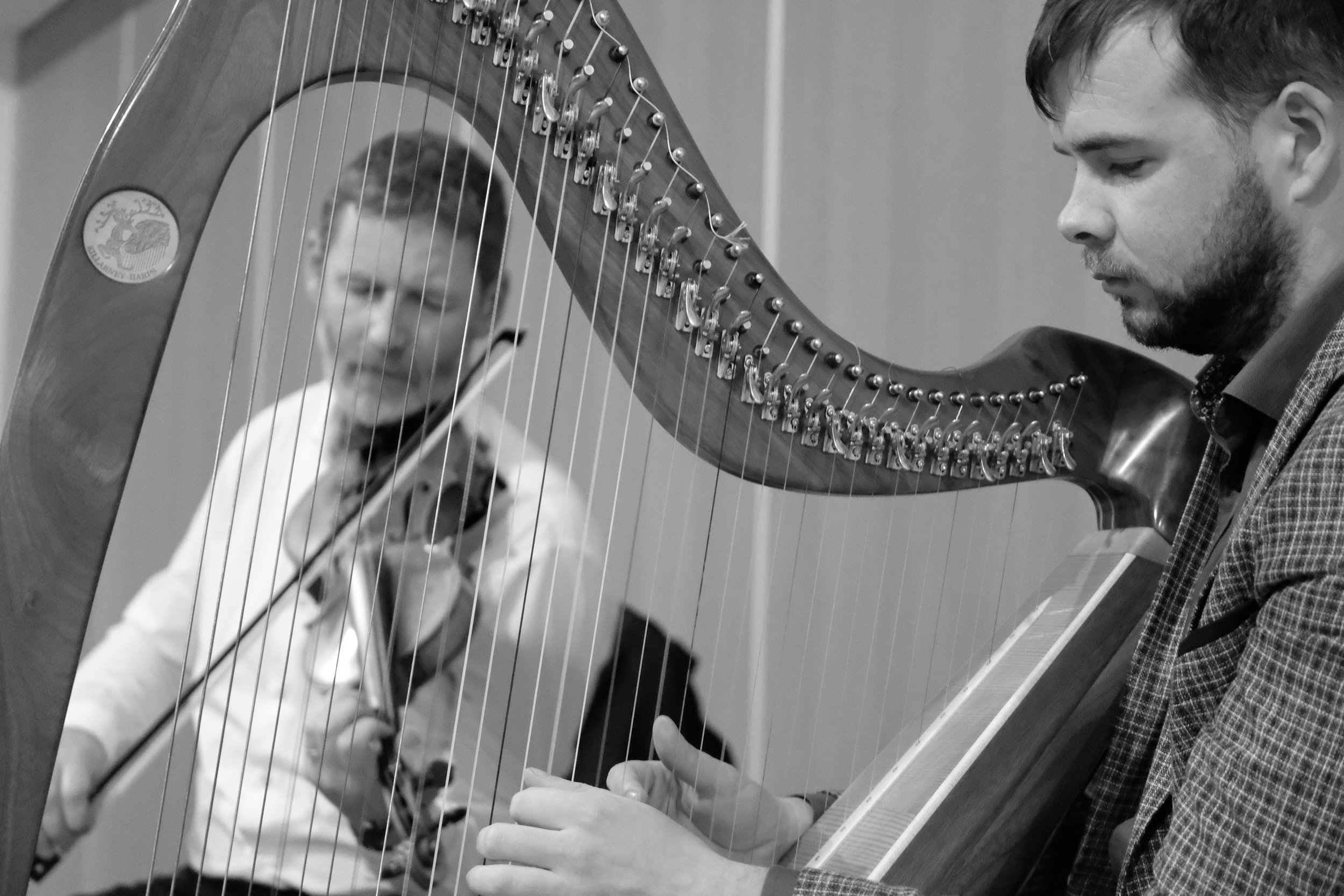 Fiddle behind Harp B&W.jpg