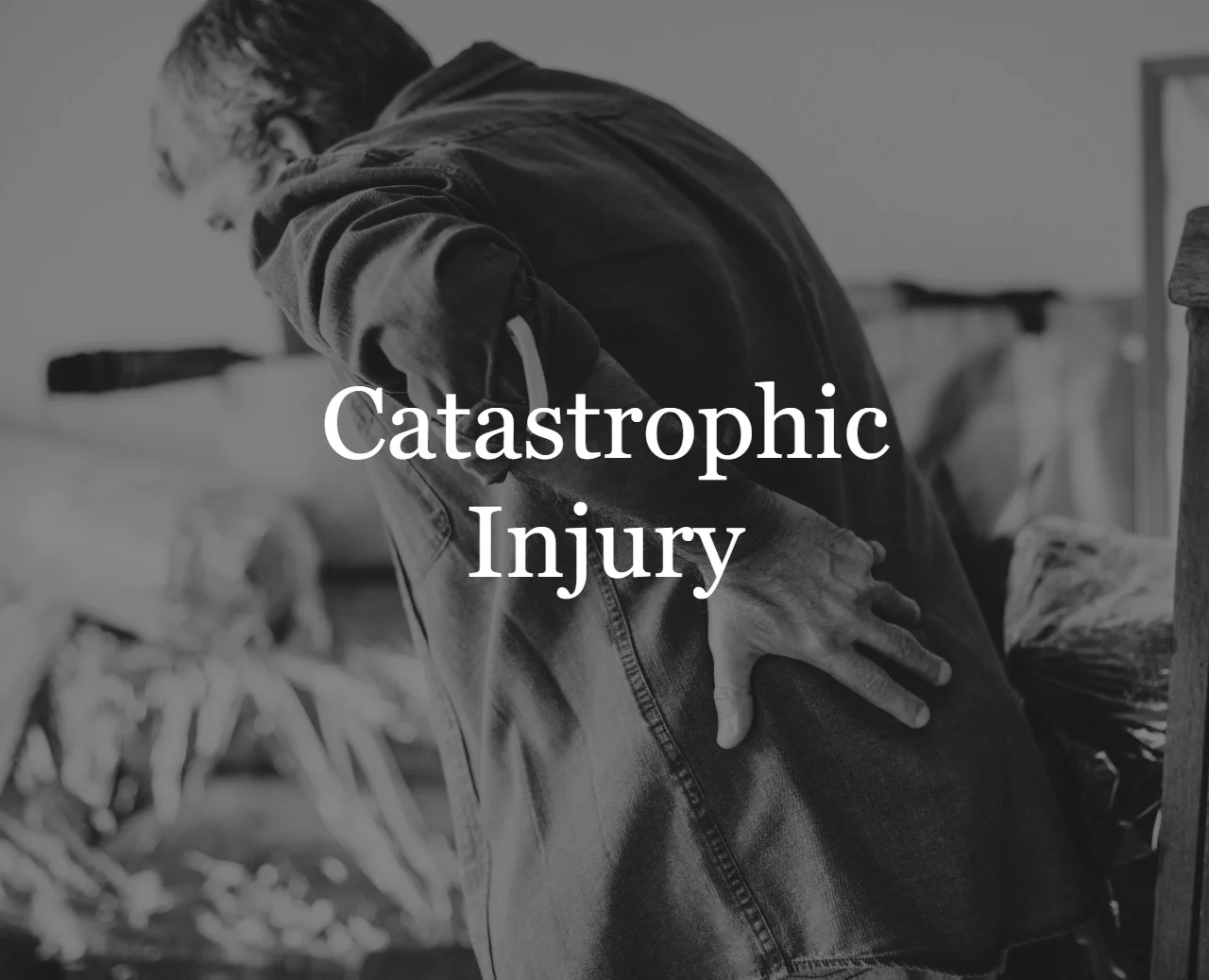 Cat Injury - Text.jpg
