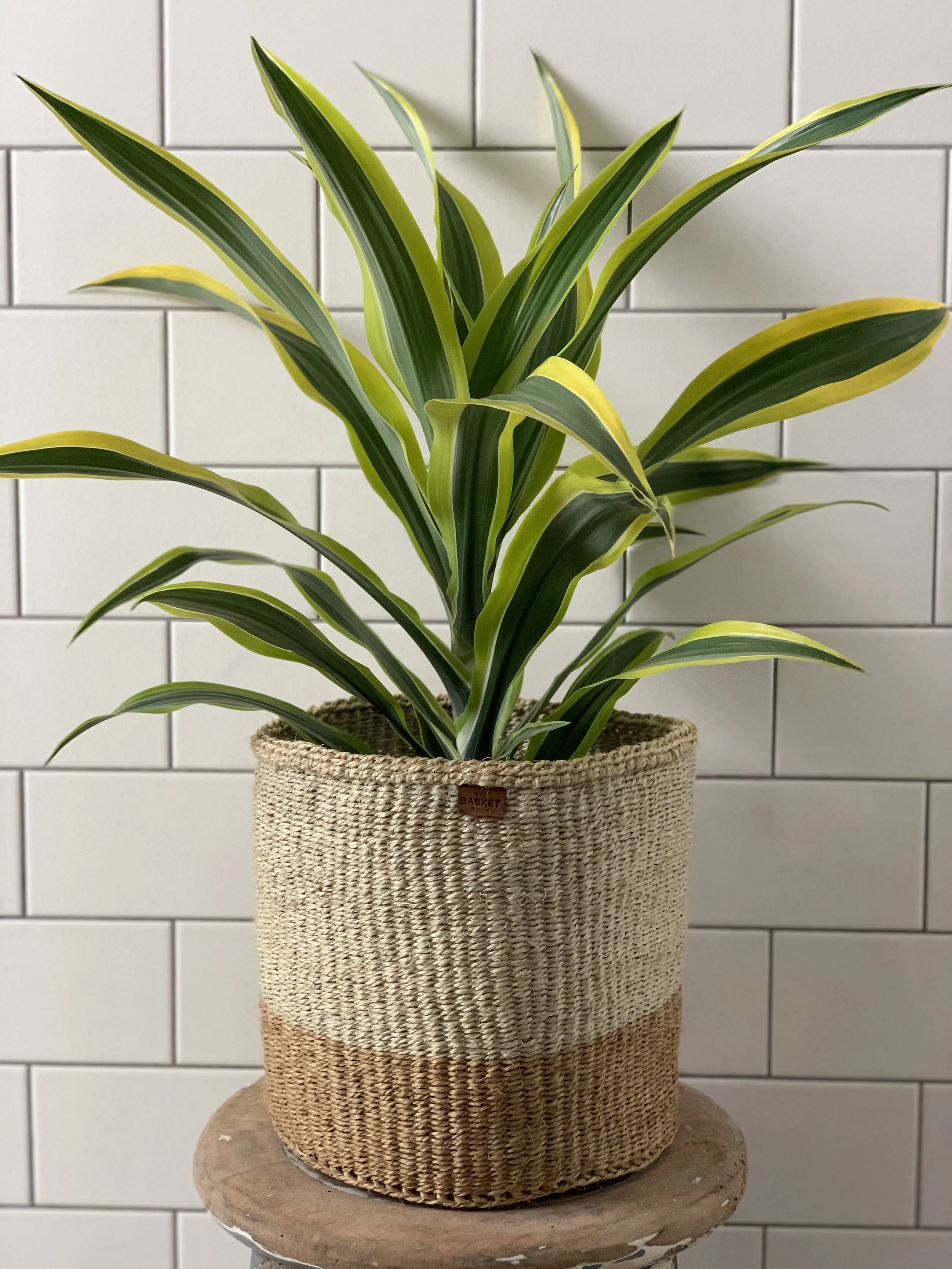 Two Tone Woven Storage Basket