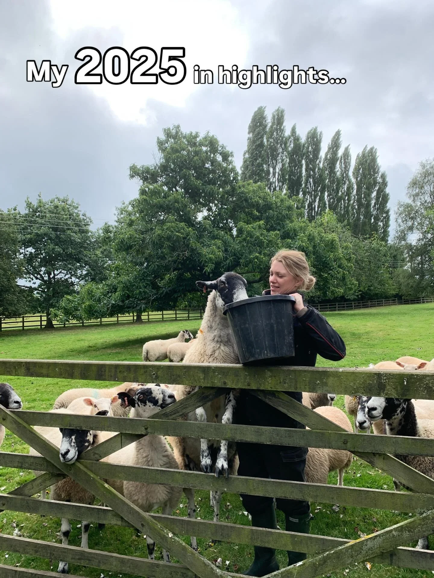 My 2025 highlights&hellip;

Thank you so much for all the support I have received this year for my business, next year I will be welcoming some big changes and I am so excited to be sharing these in the next few months. 

Happy New Year have a fab sa