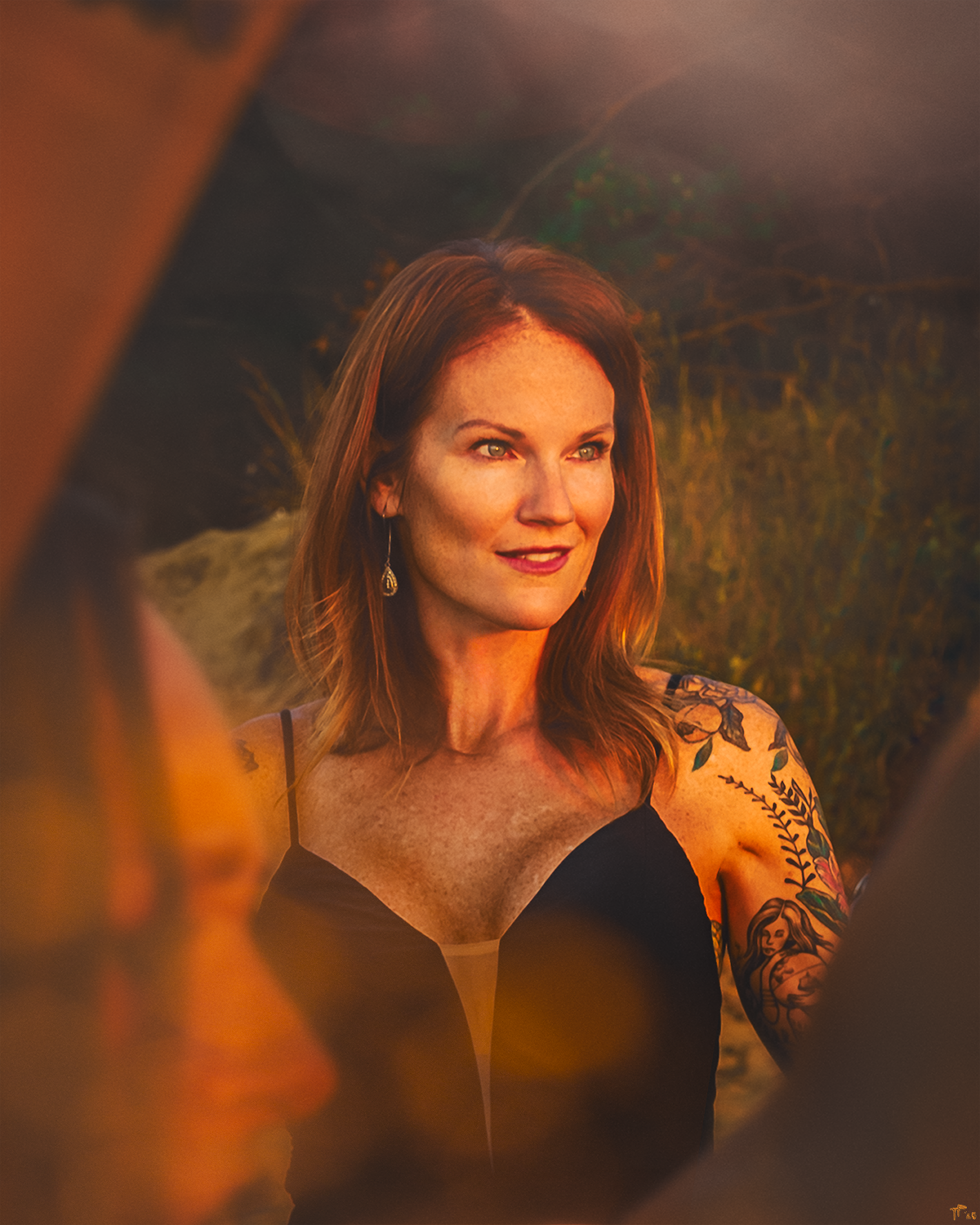 Autumn in the Summer Sun.png