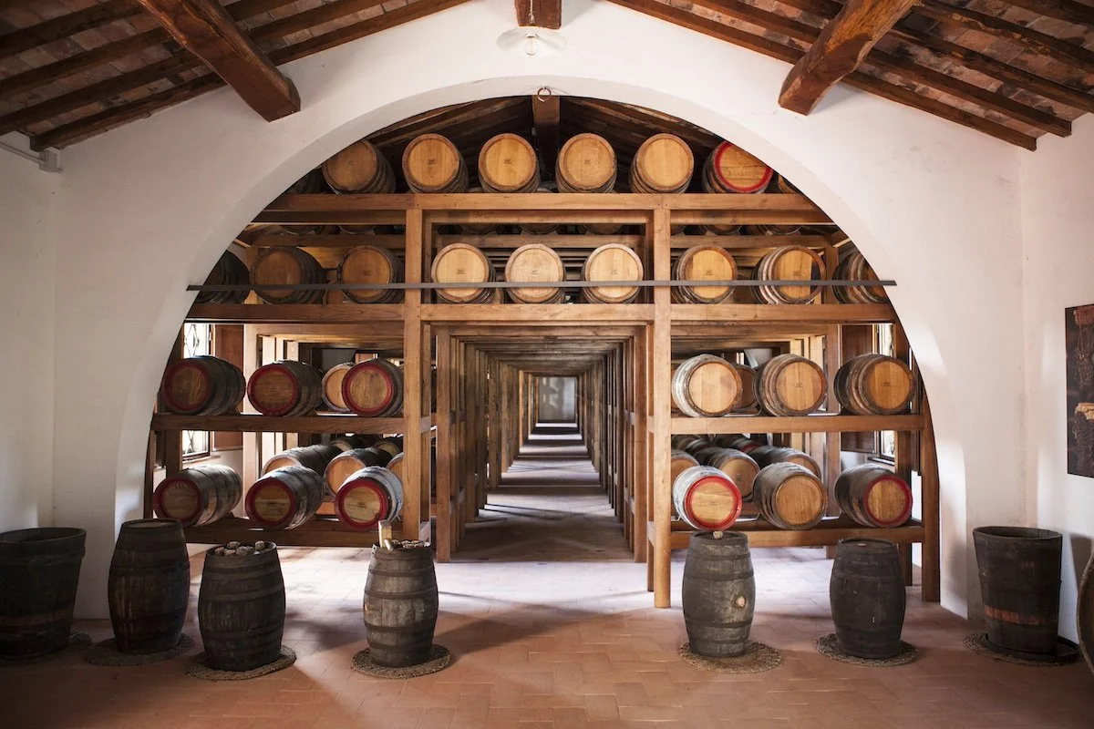 Premium Wine Tasting: Lewis Wine Imports Italian Wine Portfolio