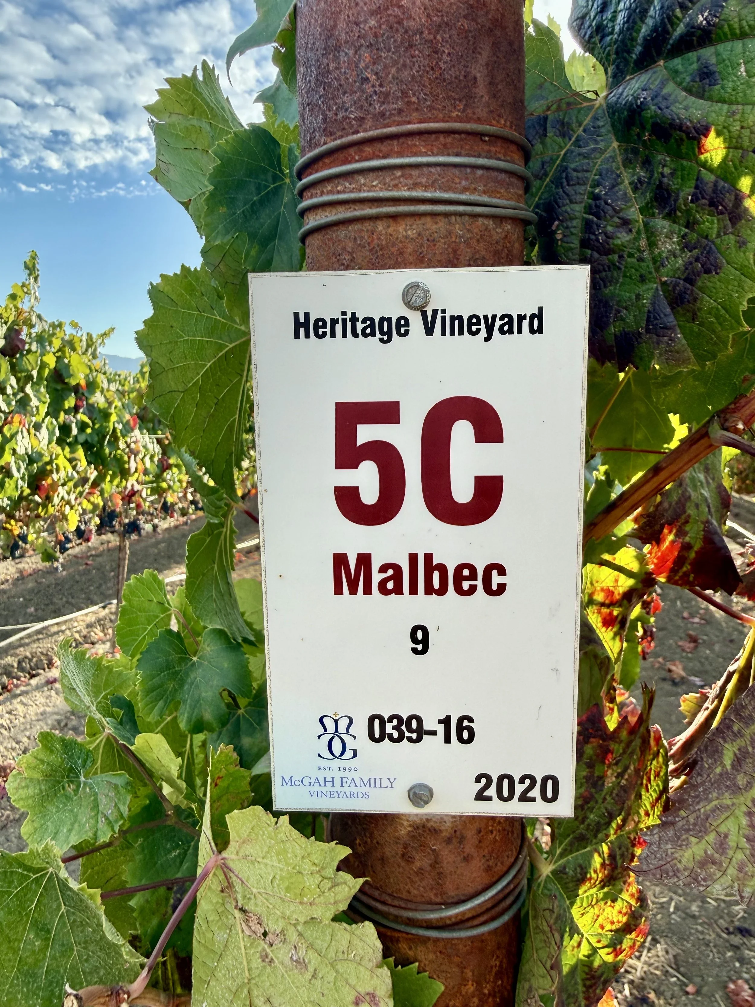 26Malbec2.jpeg