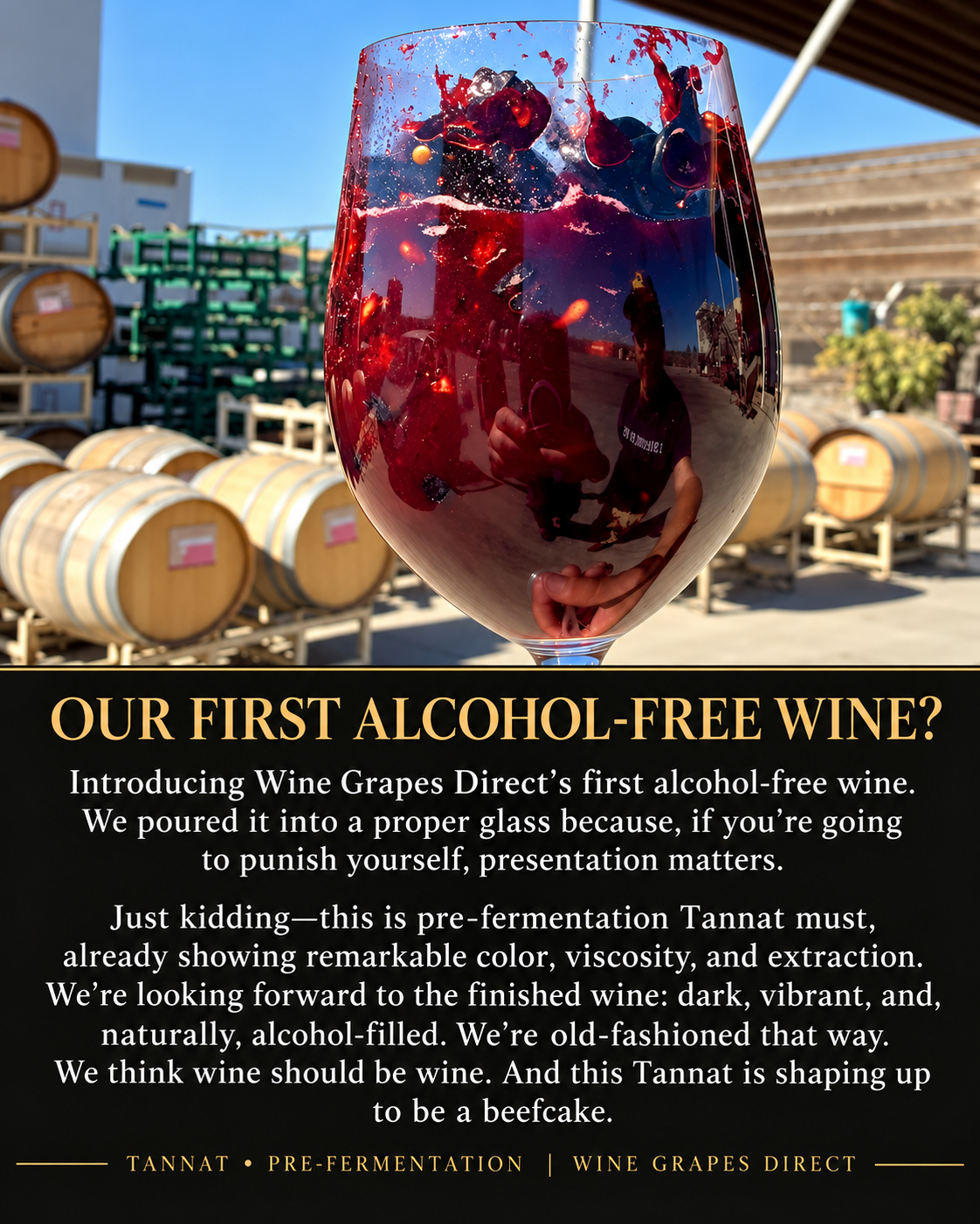 Wine Grapes Direct humorous photograph of pre-fermentation Tannat must, labeled Our First Alcohol-Free Wine